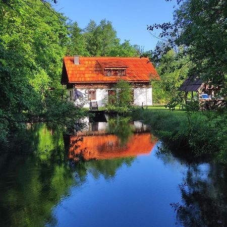 Ferienhaus Klopeinersee Kaernten Sittersdorf エクステリア 写真