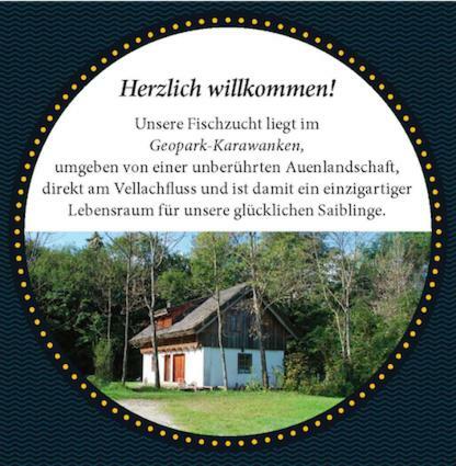 Ferienhaus Klopeinersee Kaernten Sittersdorf エクステリア 写真